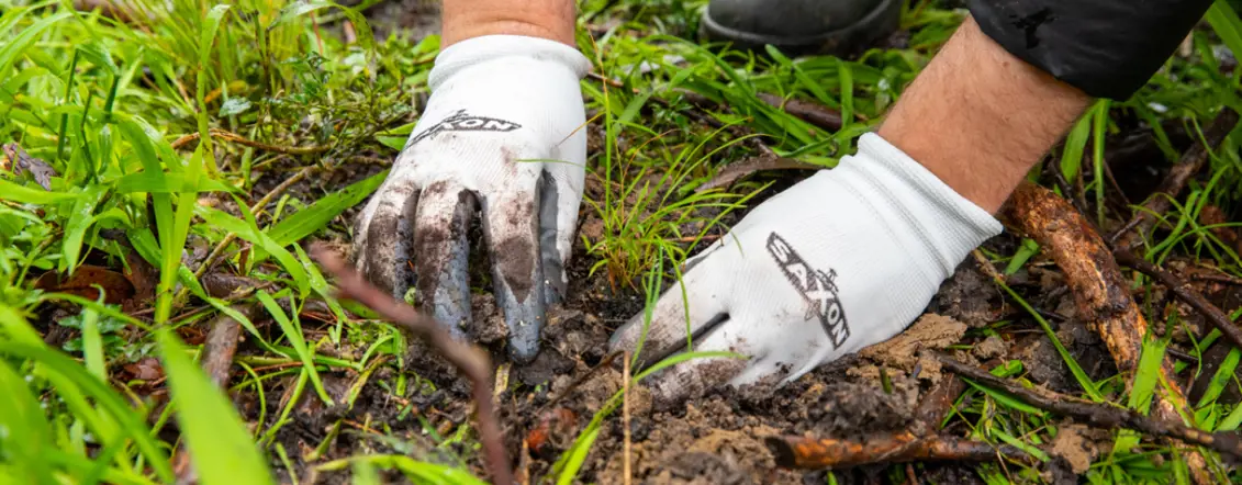 Cabots United By Trees