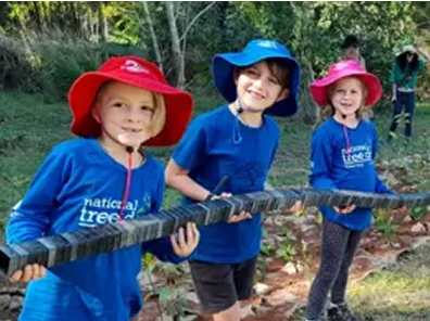 Cabots Timber For Life National Tree Day Fun For Kids 296X390