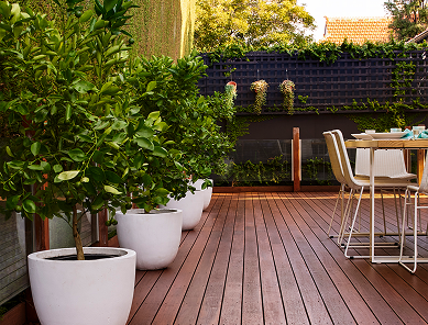 Natural Decking Oil 296X390