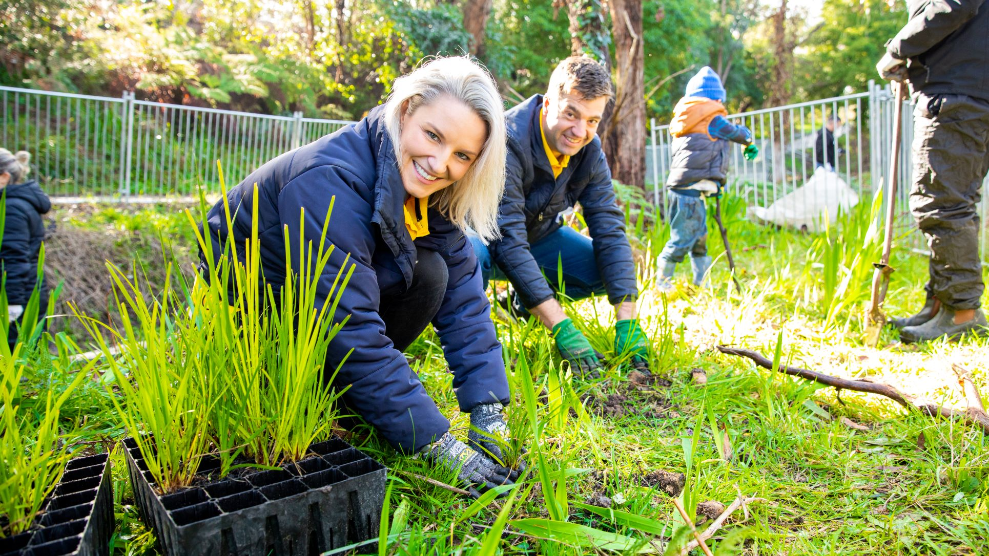 discover more project slide