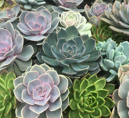 5Da736b44be2f20096bff394d2cd0aa6fd9ac349 (1)